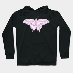 Black Swallowtail Butterfly in Pink Hoodie